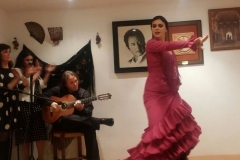 2017-04-06 Conferencia de Inmaculada Aguilar4